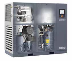 Technical specifications GA 30 + -90 (50 Hz versions) Compressor TYPE Pressure variant Max.