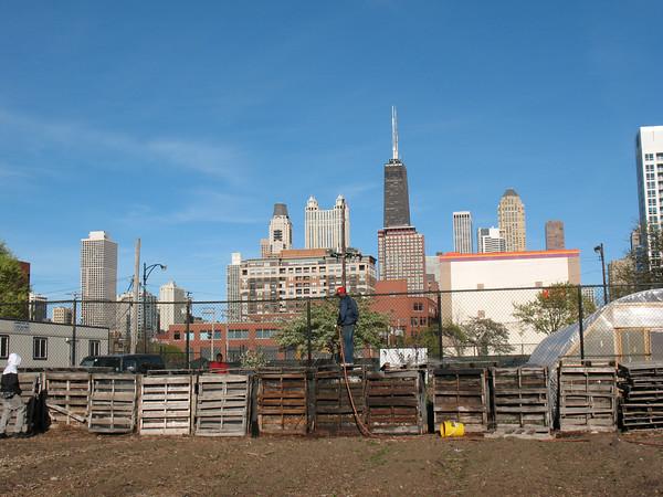 Reimagining Urban Nature: Farms in the City Growing Power's