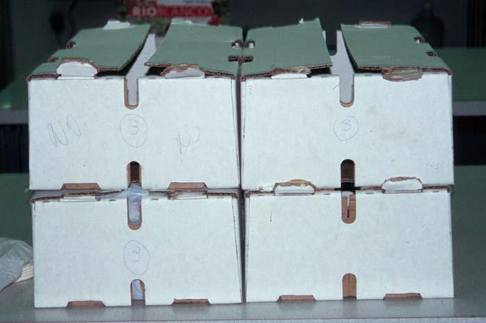 Centrl Vlley Posthrvest News Pge 13 Fig. 3. Commercil (left) nd experimentl (right) Chilen corrugted boxes used in cooling tests.