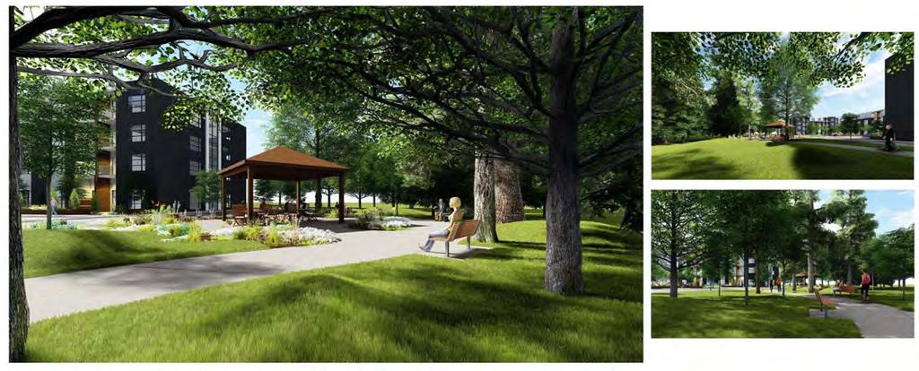 The large amenity area at the rear of the site will be a tranquil