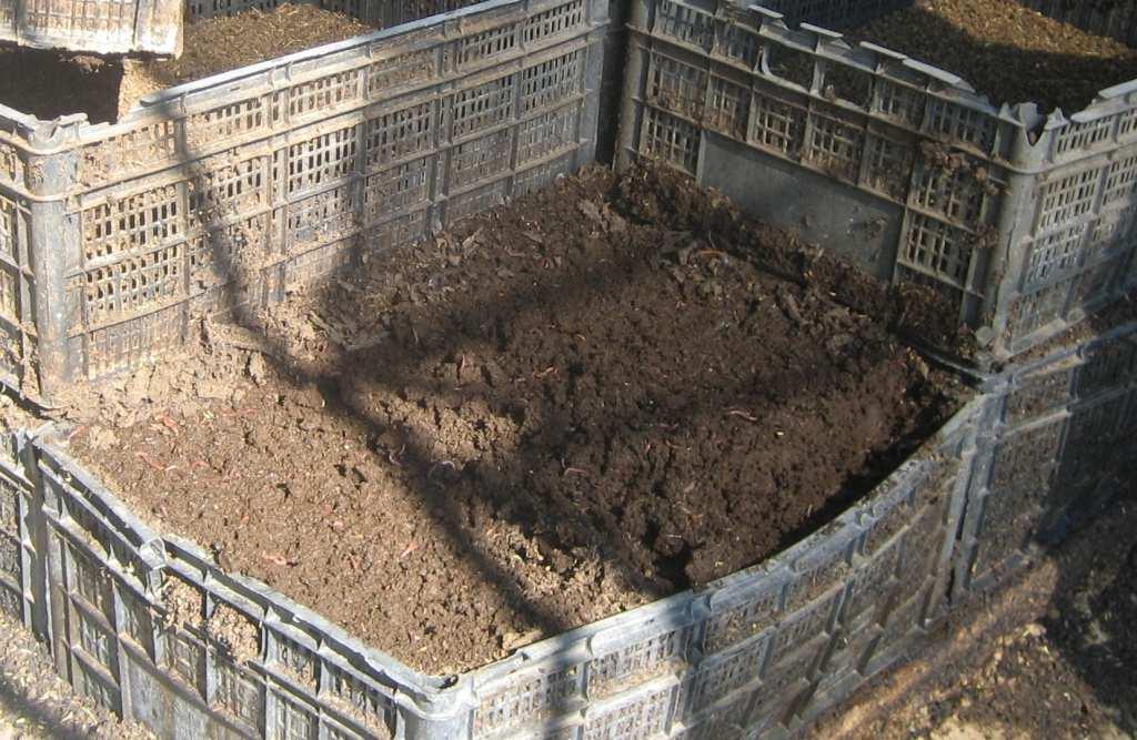 THE DANCE OF THE WORM CRATES Start with an empty crate Add 3-5 inches of dried manure Add lots of worms to the crate Add another 3-5 inches of dried manure The worms will eat their way up in the