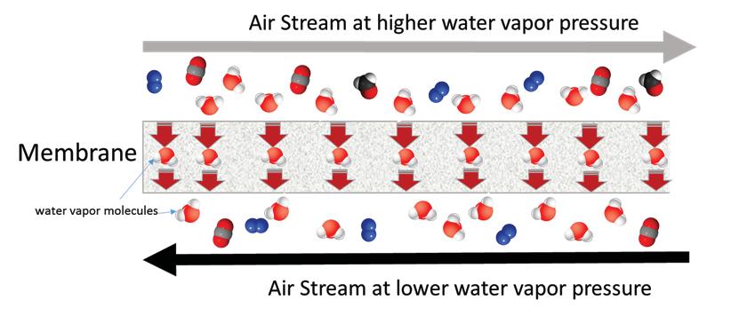 Membranes are air tight, and transmission of water vapor through the membrane is not accomplished through holes - it occurs at the molecular level.
