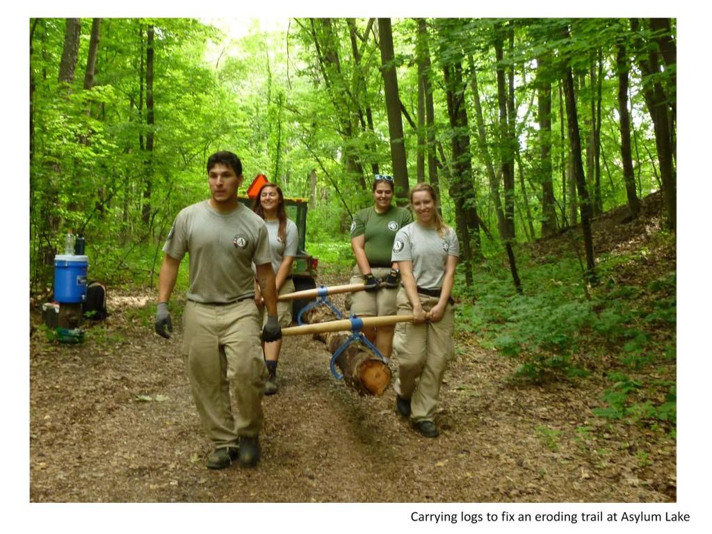AmeriCorps used a log carrier to transport fallen logs at Asylum Lake.