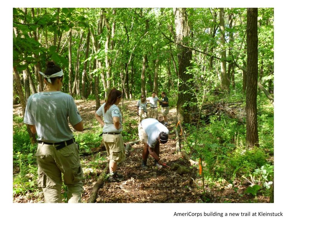 AmeriCorps built a new trail to a bench overlooking the marsh at Kleinstuck Preserve in order to