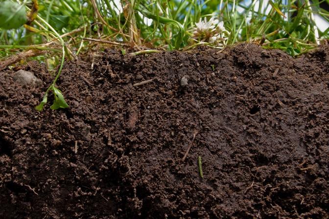 2. Soil Structure In short good soil structure holds