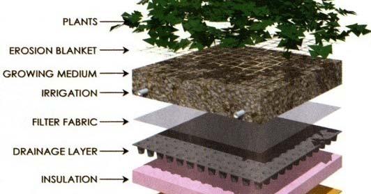 Extensive Roof: (low-profile) uses low lying plants for maximum ground cover and other benefits. Intensive: (high-profile) natural landscape that happens to be on a roof.
