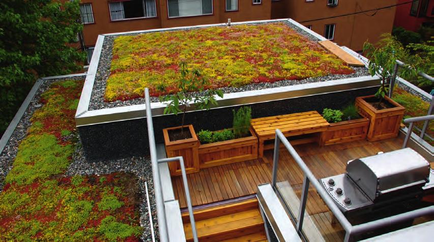 roof or as ground cover.