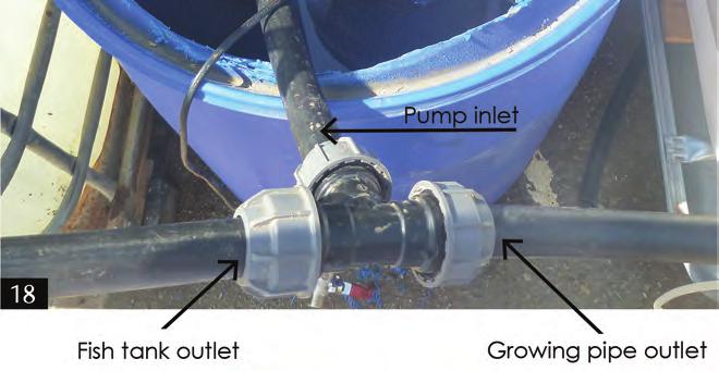 209 8. Pumping to the fish tank and canals: Connect the submersible pump to a 25 mm pipe length using a " female - 25mm Adaptor (or any Conection that fits to the pump).