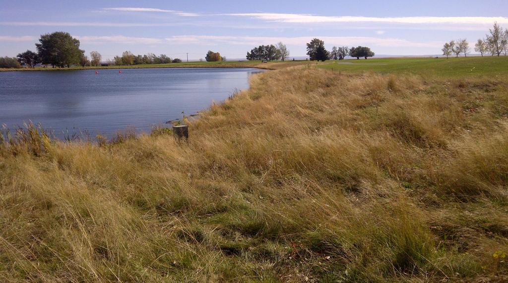 Redcliff Golf Course Ponds Stabilization Redcliff,
