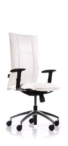 ICE THESE SLEEK CHAIRS WITH SUBTLE CURVES AND STRONG LINES ARE DESIGNED TO