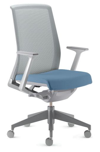 Backrest Height: Standard/Mid back Lumbar Support: Fixed Armrests: