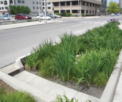 SUSTAINABLE PRACTICES ALONG THE GREENWAY Use of boardwalks through sensitive areas. Native prairie plantings along Eagle Creek Greenway. Storm water planters along the Cultural Trail.