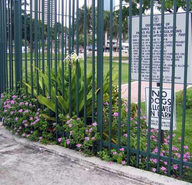 Flowering plants, like these at the entrance to José Marti Park, should be incorporated more often into park design.
