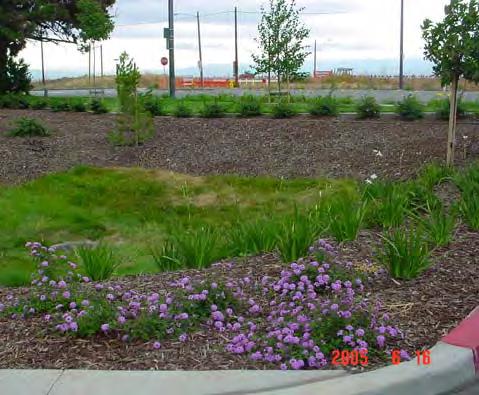 C.3 STORMWATER TECHNICAL GUIDANCE BIORETENTION AREAS 1 COMMON MAINTENANCE CONCERNS: The primary maintenance requirement for bioretention areas is the regular inspection and repair or replacement of