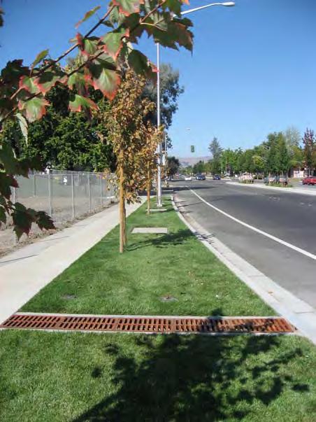 C.3 STORMWATER TECHNICAL GUIDANCE TREE WELL FILTERS COMMON MAINTENANCE CONCERNS: Some manufacturers require a maintenance agreement, under which the manufacturer conducts the maintenance.