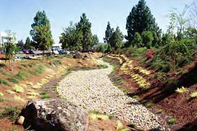 C.3 STORMWATER TECHNICAL GUIDANCE EXTENDED DETENTION BASINS COMMON MAINTENANCE CONCERNS: Primary maintenance activities include vegetation management and sediment removal, although mosquito control