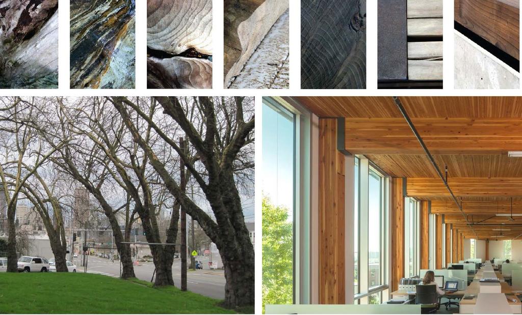 Trees inspired the design team to show how precious they are to the urban realm and design shows wood in many forms.