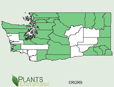 USDA Plant Database. www.plants.usda.gov Ecological distribution: E. grandiflorum occurs from sagebrush slopes and montane forests to subalpine to alpine meadows, from southern B.C.