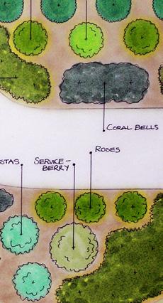 Illustrative planting plans created for