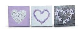 3 pack canvas wall art C.