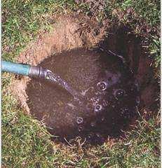 Dig a hole 12 deep by 6 in diameter. 2.