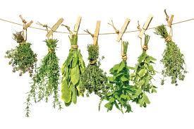 Tips: What Can I Do With Those Excess Herbs? For those of you with herb gardens, you may find it challenging to use the herbs as quickly as you harvest them.