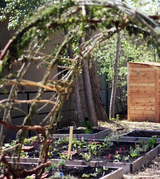 John Paul II Secondary Catholic School in London has an Urban Garden Project that teaches students about sustainable agriculture through hands-on gardening in an outdoor classroom.