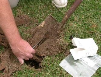 >> home & garden Knowing fertilizers and soil testing is important by Dan Gill, LSU AgCenter Horticulturist A common misconception is that the type of fertilizer you choose to use is based strictly
