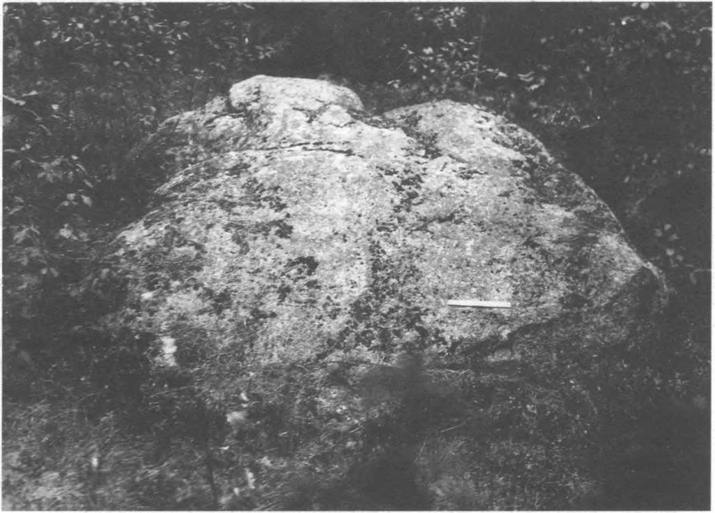 metu nustatyta, jog Moko akmuo - apie 80 cm į šiaurę nuo pilkapio (3 nr.) vainiko, o į rytus ir vakarus nuo akmens rasti pylimėliai greičiausiai atsiradę lobių ieškotojams ardant pilkapio (3 nr.