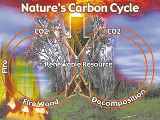 As a tree grows, it absorbs carbon dioxide from the air and stores it in the wood as carbon. This carbon makes up about half the weight of wood.