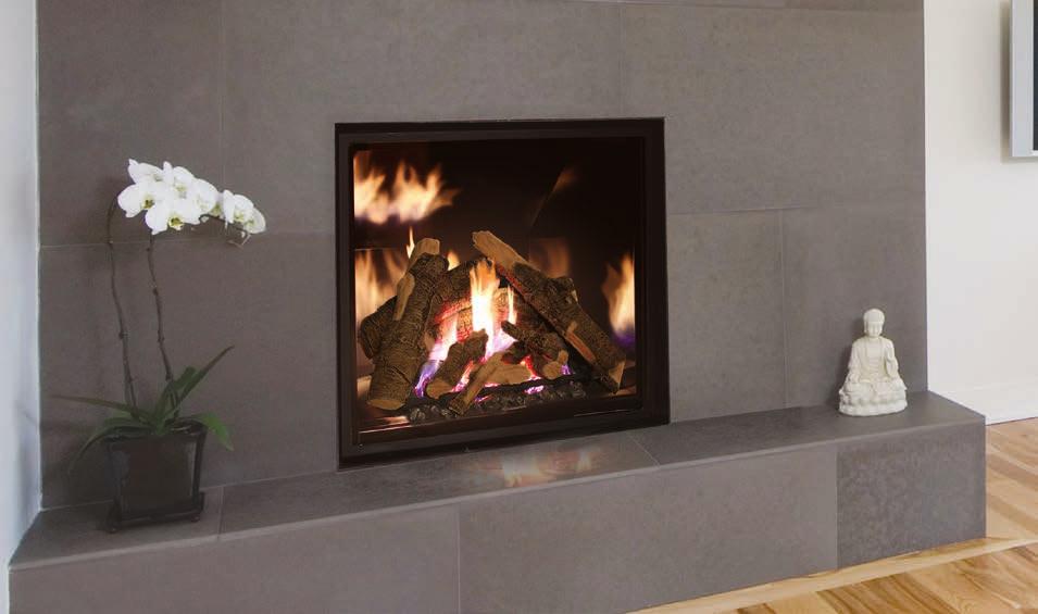 Design Features Available Options Fireplace Specifications Clean