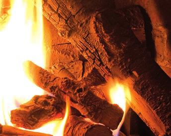 Firebox Burner Options: Cast Iron Log Grate Ultra High