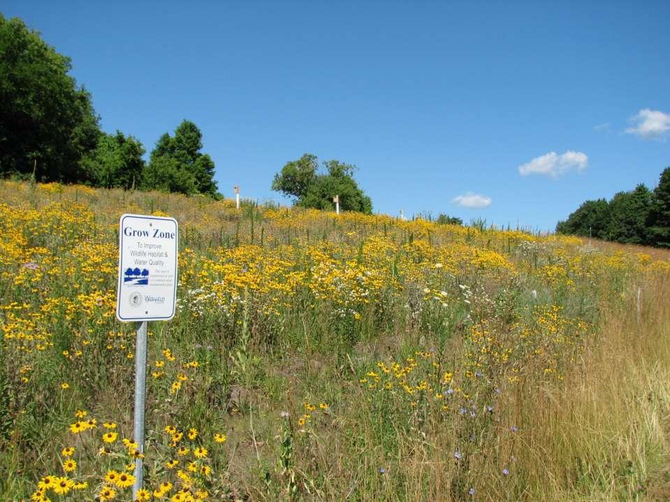 Green Infrastructure Vision for Protect Riparian Land