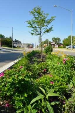 Visioning & Pulse of the Region Survey: Green Infrastructure Priorities 3) Top Places for