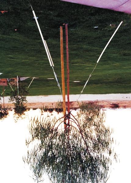 stakes should be driven into the ground at the outside edge of the plant hole. Wires are attached to the trunk and the stakes. The wire should be wrapped to protect the tree s bark from damage.