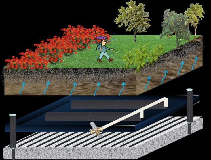 Sub-Irrigated Wicking System Green Roof + Blue Roof Green Roof Green
