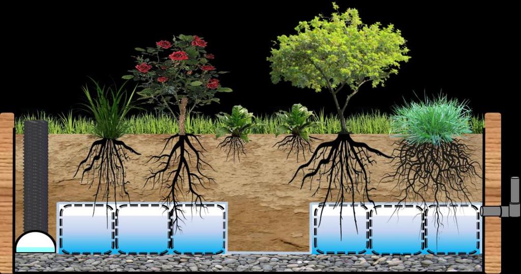 Low Impact Development (LID) Stormwater Management and Solution Green Roof Water Harvesting
