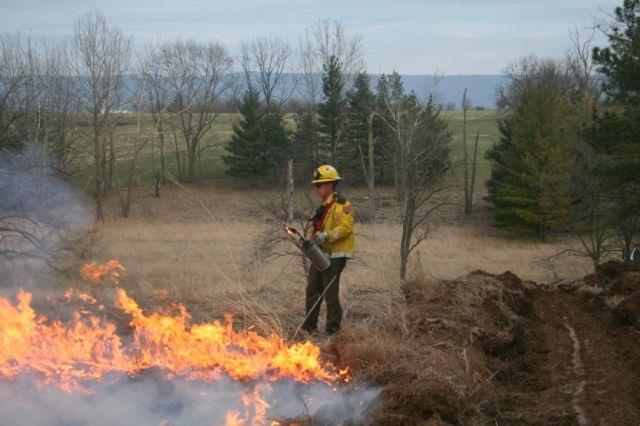 15 D. Controlling fires Certain farming practices require regular controlled fires.
