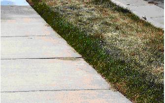 Reading Your Lawn Usually an area of the lawn will turn a bluegray color before