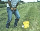 need Soil organic matter Soil ph and lime requirement Other tests if required Soil Testing A