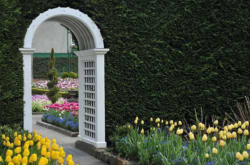 Arches are often used as doorways into the garden or as ways to join garden areas.