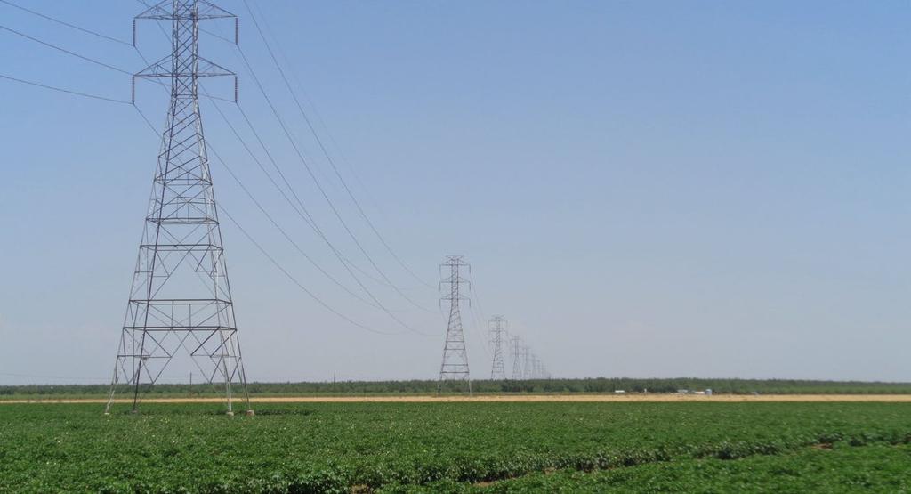 VP13: Northwestward view of existing PG&E Henrietta-Gates 230-kV transmission line, east of SR-269. The WSP-North to Gates Gen-Tie would run along the southeast (right) side of this transmission line.