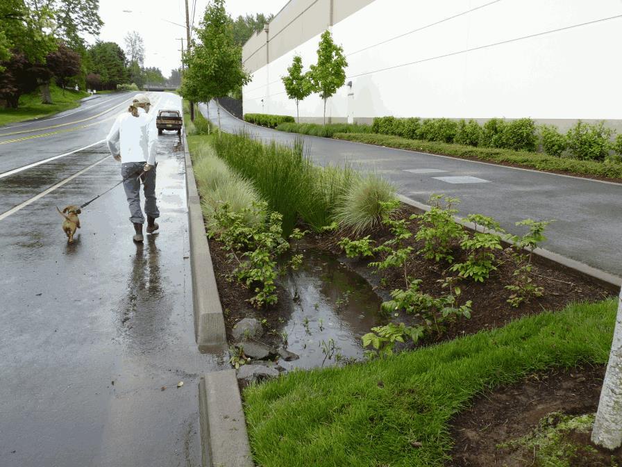 SOURCE: Maria Cahill SOURCE: Maria Cahill REDUCE RUNOFF FROM LANDSCAPE AND HARDSCAPE AREAS BMPS Runoff reduction is the primary focus of the next eight BMPs.
