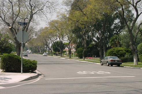 6) Maintain, improve and/or develop parkways with canopy street trees, providing shade, beauty and a unifying identity to residential streets.