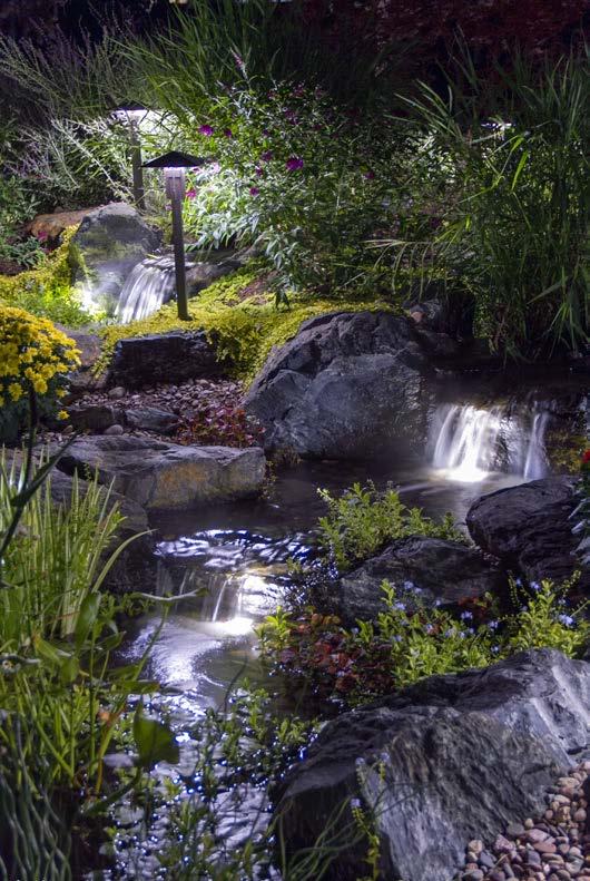 AquaReale s complete line of pond and landscape LED lighting, provide maximum enjoyment of any water