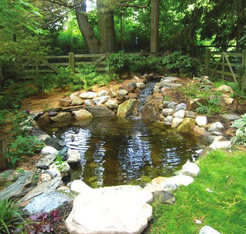 Light Transformer Add 10 Stream 10 Stream Addition $2,500 Fish Cave Create Cave in Pond to help protect fish from
