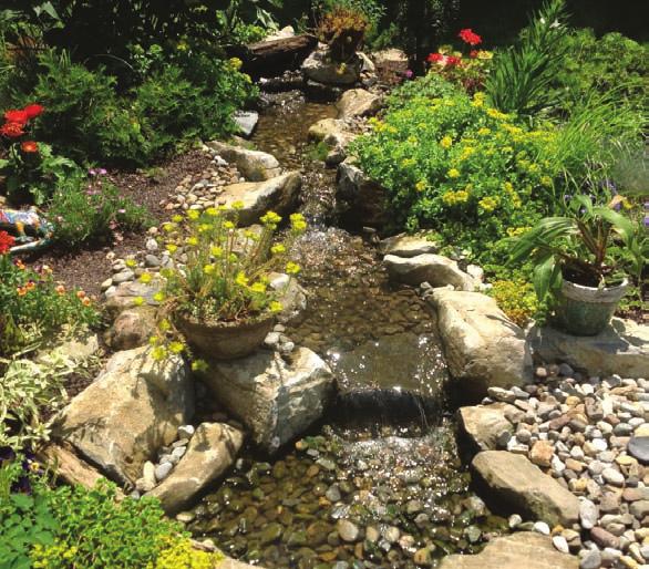 The waterfall is undoubtedly the most beautiful and favored feature in a water garden.