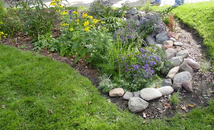 Benefits Rain gardens can have many benefits when applied to redevelopment and infill projects in urban settings.