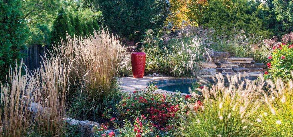 While it may not be the first thing on your mind, now is the best time to start planning your landscape project.