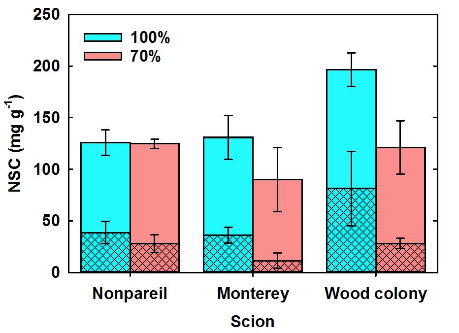 Impact of irrigation and scion on carbohydrate reserves in fine roots (Krymsk 86) When receiving adequate irrigation, fine roots of Krymsk 86 with Wood Colony as the scion had the greatest amount of